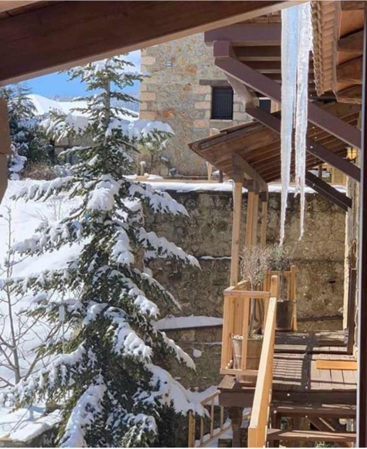 Nymfes Guesthouse Synikia Mesi Trikalon Zewnętrze zdjęcie